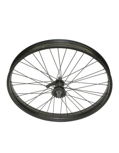26 x 3.00 Fat Alloy Coaster Wheel 36 Spoke...